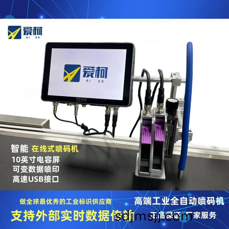 10寸(cun)屏(ping)智能(neng)工業2噴頭(tou)全(quan)自動(dong)噴碼機（25.4mm.雙噴頭(tou)）